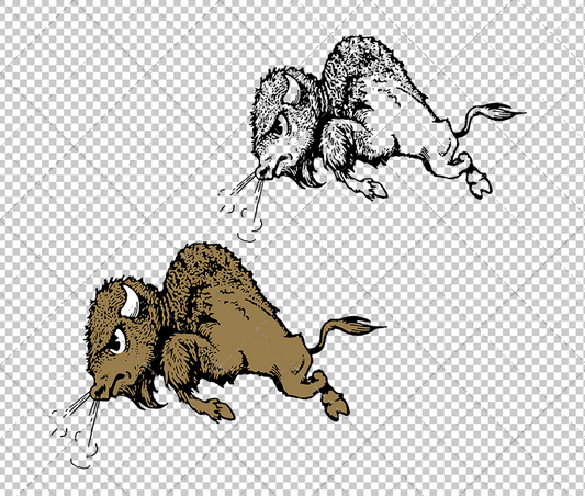 Colorado Buffaloes Alternate 1948, Svg, Dxf, Eps, Png - SvgShopArt